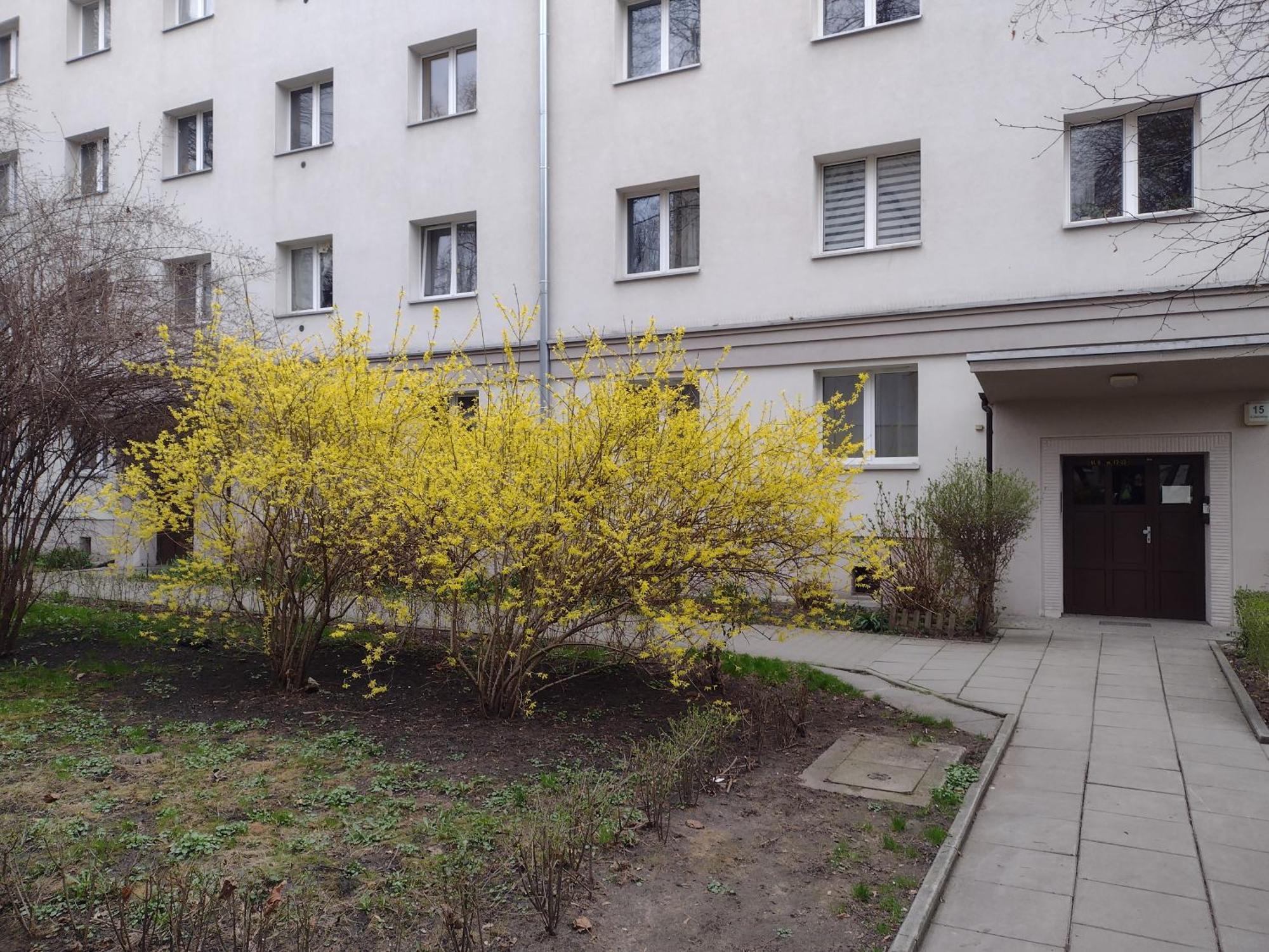 Cracowapart Ignacio A Cracovia Exterior foto